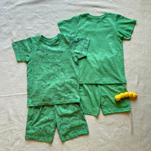 Load image into Gallery viewer, Boys summer pajama Bundle set Apple Green and Dino t-shirts + shorts