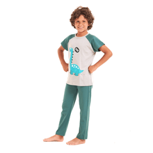 Load image into Gallery viewer, Boys summer pajama set Light blue dinasour t-shirt +Green pants
