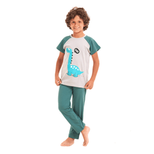 Load image into Gallery viewer, Boys summer pajama set Light blue dinasour t-shirt +Green pants
